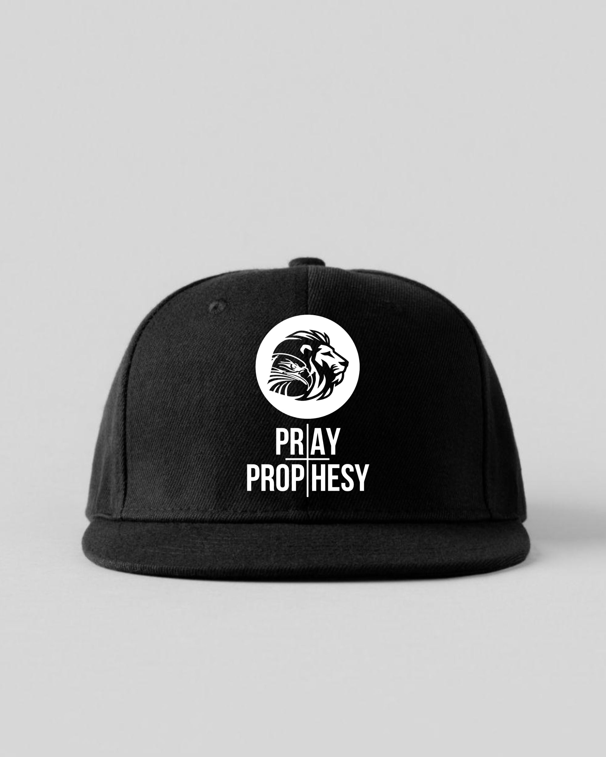 PRAY AND PROPHESY CAP — LION