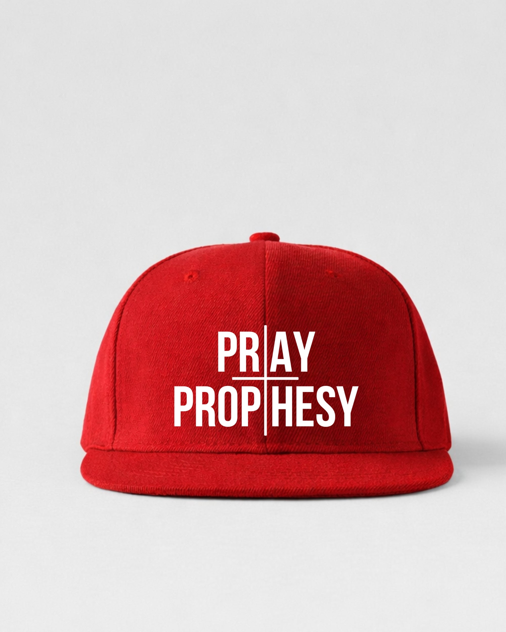 PRAY AND PROPHESY CAP — BOLD