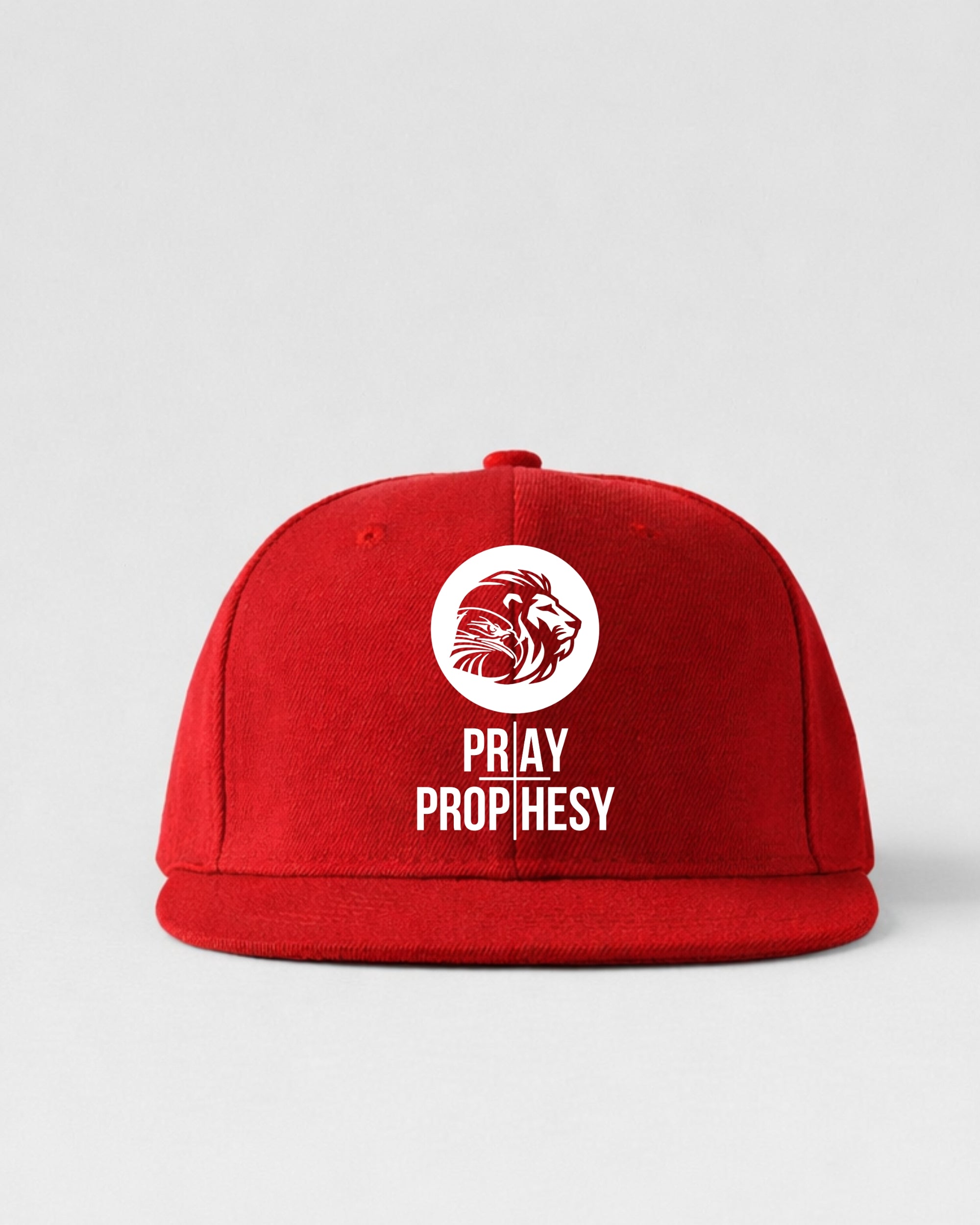 PRAY AND PROPHESY CAP — LION