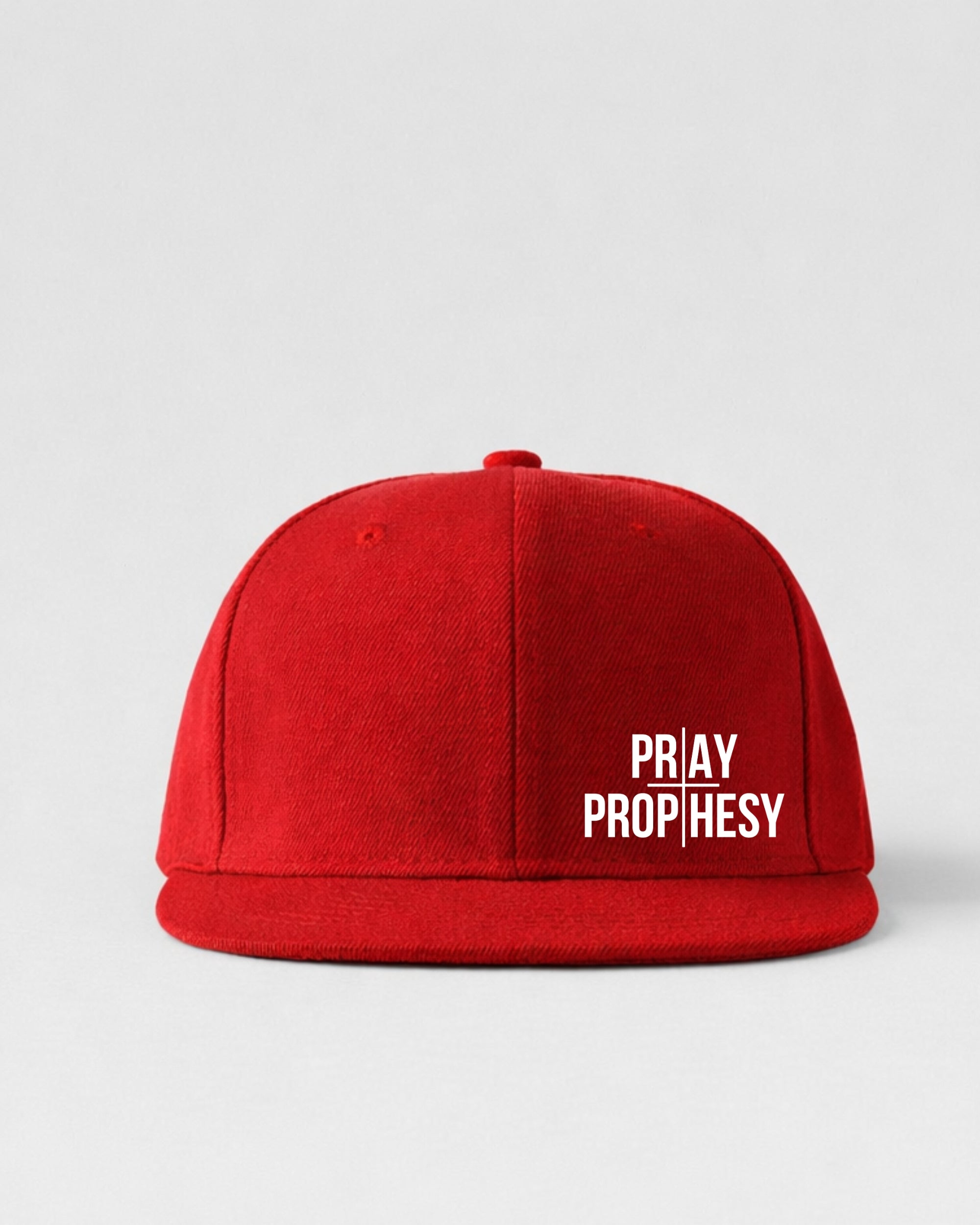PRAY AND PROPHESY CAP — MINIMAL
