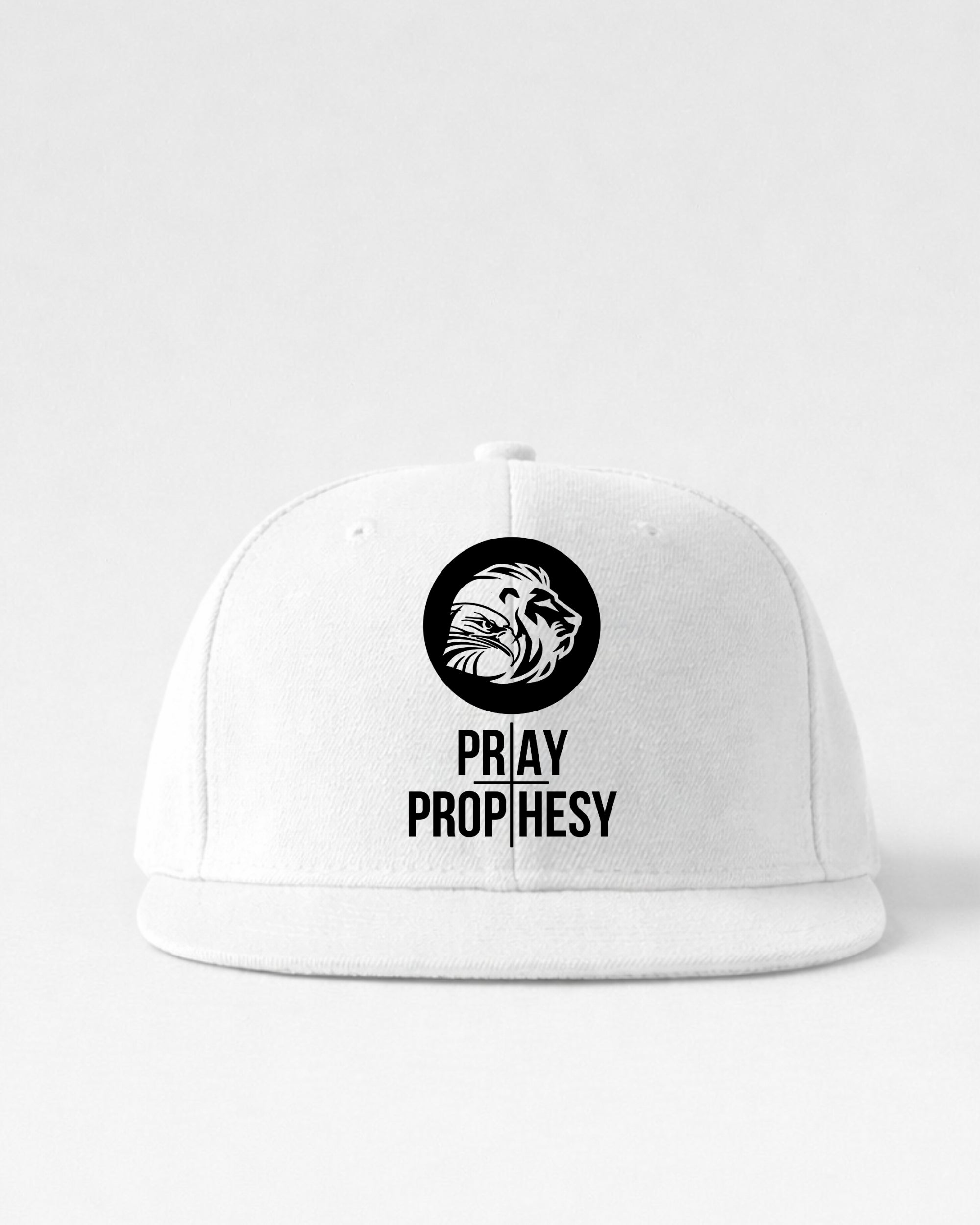 PRAY AND PROPHESY CAP — LION