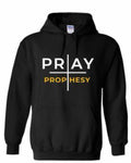 PRAY AND PROPHESY HOODIE — BOLD STATEMENT