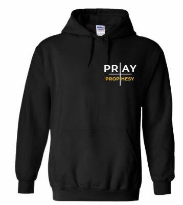 PRAY AND PROPHESY — HOODIE